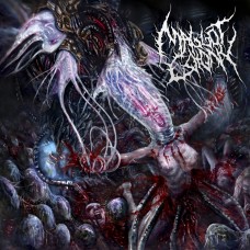 Maggot Colony - Perpetuating the Viral Infestation